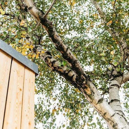 Carmen Eco-Pod / Treehouse, Close To Cabot Circus Bristol Eksteriør billede